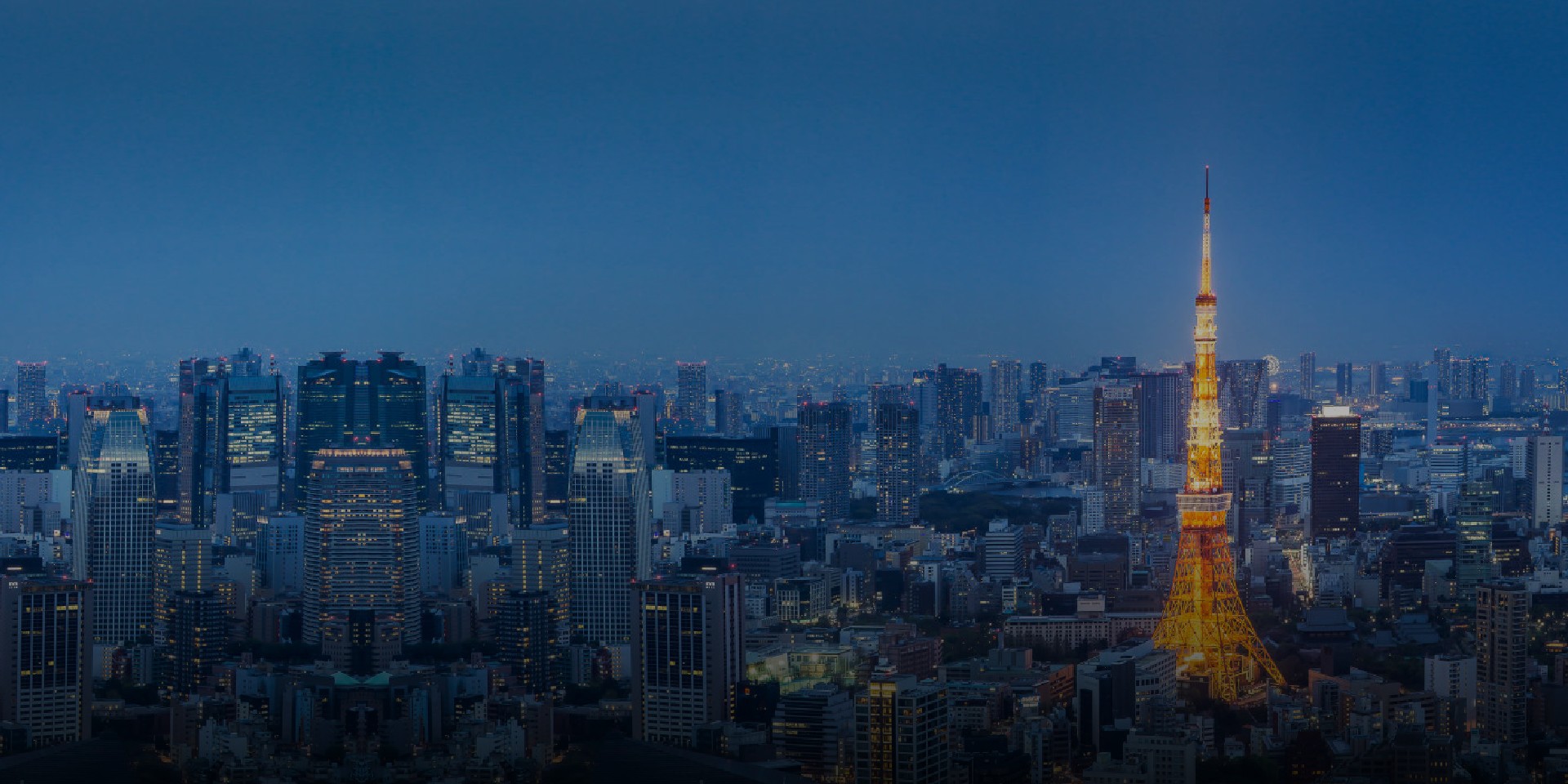 日本市场电商服务