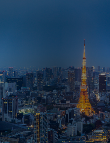 日本市场电商服务